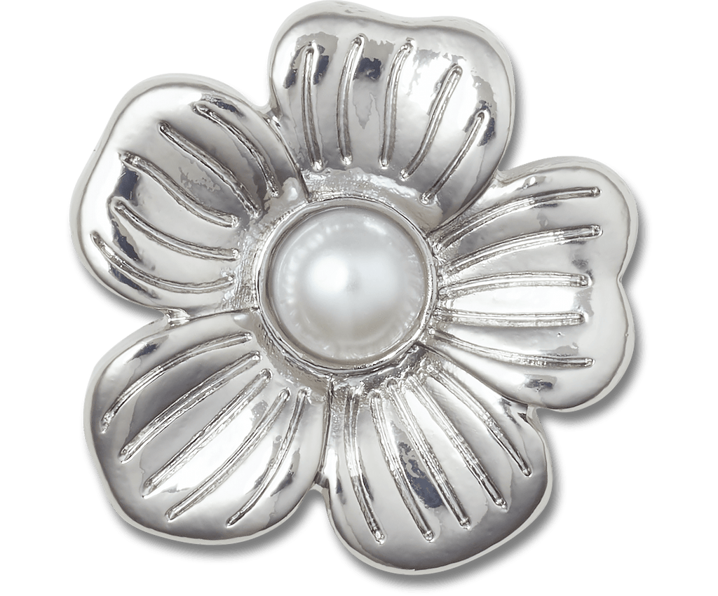Silver Mnchrm Daisy 2