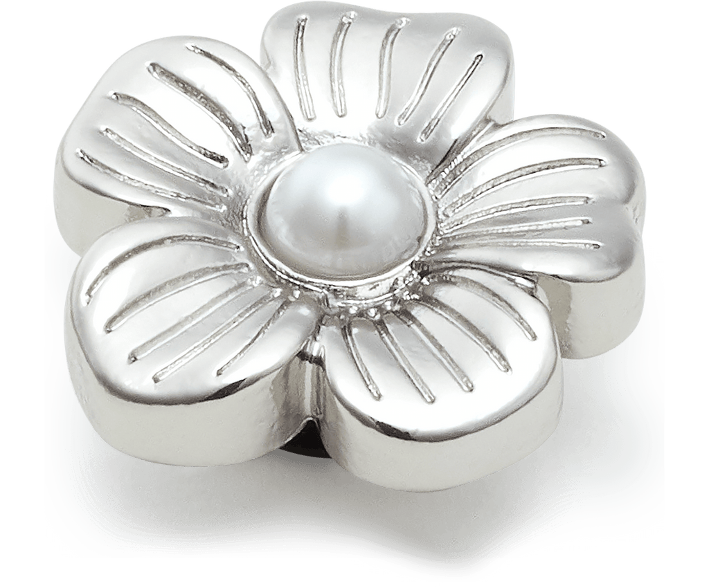 Silver Mnchrm Daisy 2