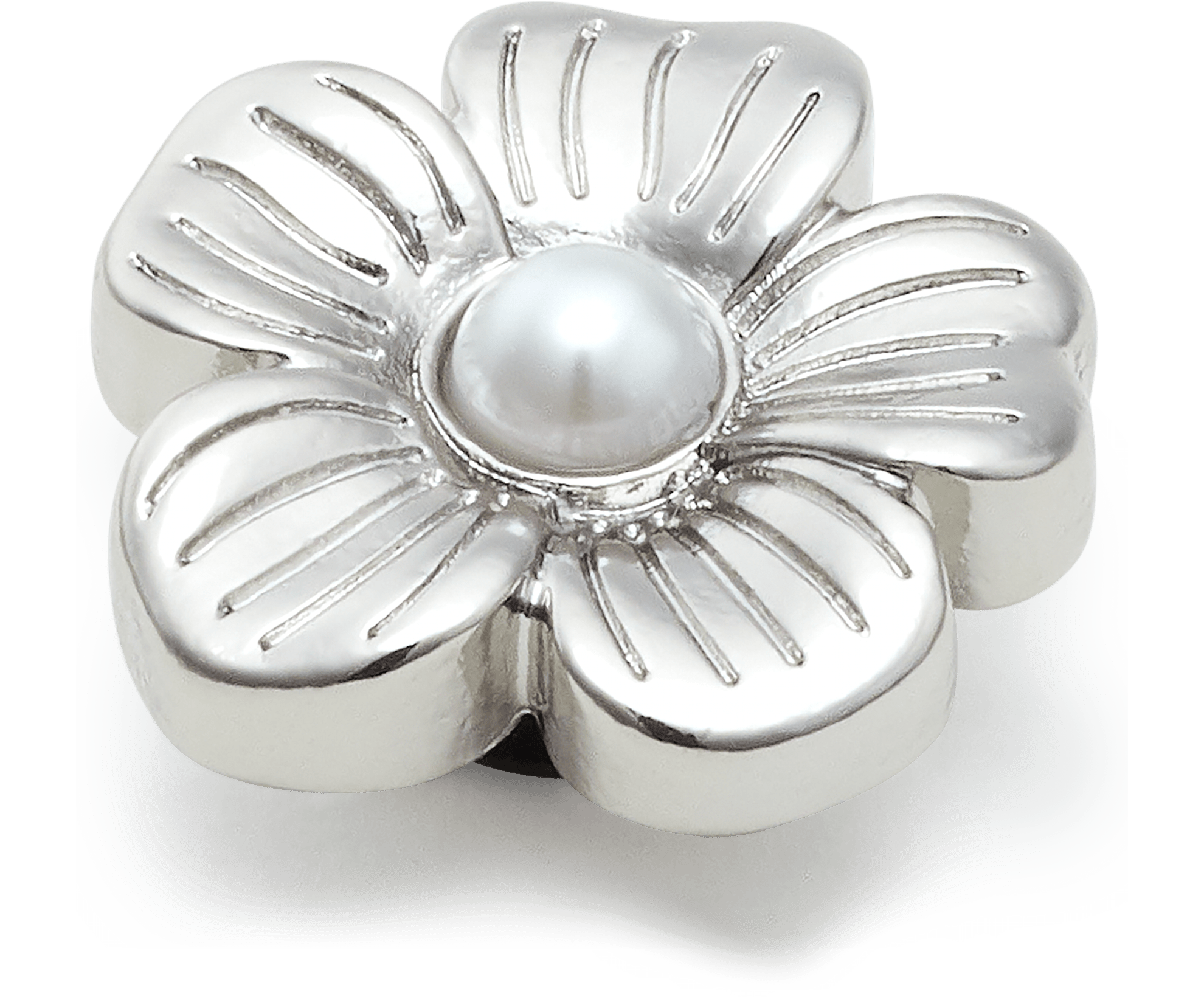 Silver Mnchrm Daisy 2
