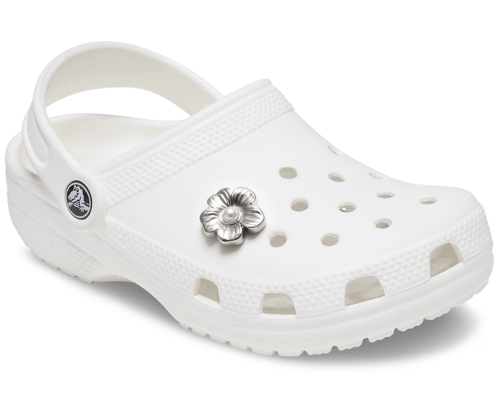 Silver Mnchrm Daisy 2